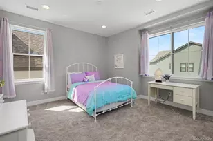 9204 Star Fall Cir, Littleton, CO 80125 - Photo 18