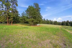 10462 Tomichi Dr, Franktown, CO 80116 - Photo 50