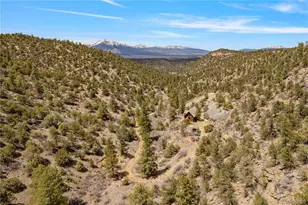 15555 Austin Trail, Salida, CO 81201 - Photo 2