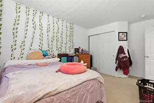 11165 Clayton St, Northglenn, CO 80233 - Photo 28