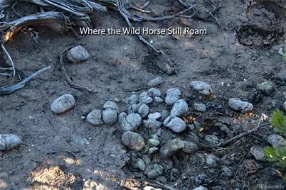 Lot 1 Largo Vista Drive, San Luis, CO 81152 - Photo 16