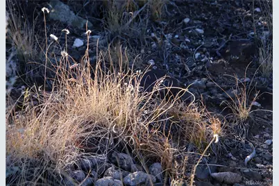 Lot 1 Largo Vista Drive, San Luis, CO 81152 - Photo 18