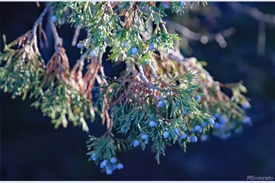 Lot 1 Largo Vista Drive, San Luis, CO 81152 - Photo 26