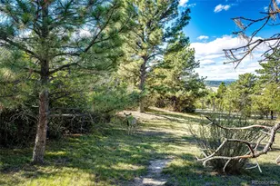 7417 Rafter Rd, Franktown, CO 80116 - Photo 30