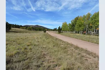 400 Aspen Way Drive, Lake George, CO 80827 - Photo 2