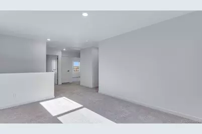 14020 Alpine Phlox Lane, Parker, CO 80134 - Photo 26