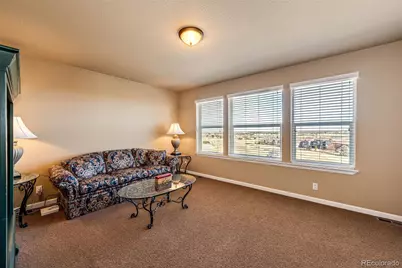 23515 Branston Lane, Parker, CO 80138 - Photo 24