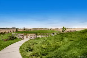2609 Villageview Ln, Castle Rock, CO 80104 - Photo 38