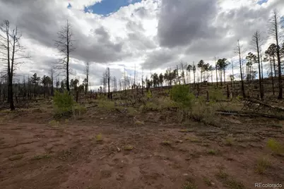 Lot 547 Drey's Place, Fort Garland, CO 81133 - Photo 22