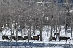 403 J Rd, Silverthorne, CO 80498 - Photo 6