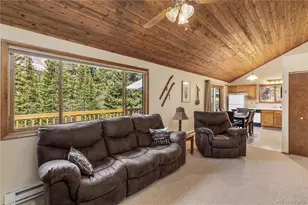 235 Nuthatch Dr, Alma, CO 80420 - Photo 20