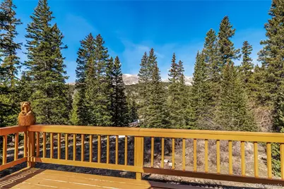 235 Nuthatch Drive, Alma, CO 80420 - Photo 8