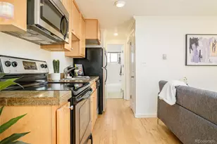 1135 Elizabeth Street, Denver, CO 80206 - Photo 10