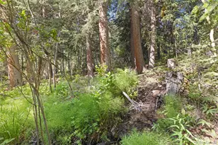 294 Mine Dump Rd, Fairplay, CO 80440 - Photo 46