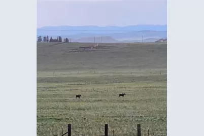 2660 Campfire Road, Hartsel, CO 80449 - Photo 46