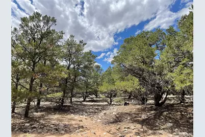 3855 Jubilant Way, Crestone, CO 81131 - Photo 8