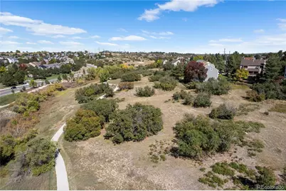 368 Woodstock Lane, Castle Pines, CO 80108 - Photo 46