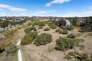 368 Woodstock Ln, Castle Pines, CO 80108 - Photo 46