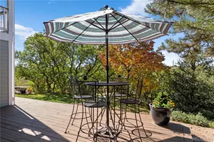 368 Woodstock Ln, Castle Pines, CO 80108 - Photo 38