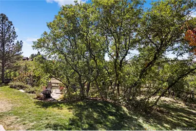 368 Woodstock Lane, Castle Pines, CO 80108 - Photo 40