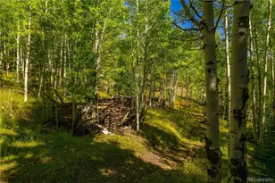 13007 Kuehster Rd, Littleton, CO 80127 - Photo 14