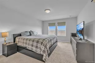 10581 Paris St, Henderson, CO 80640 - Photo 22