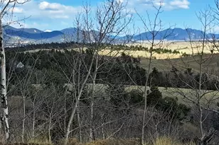 908 Raven Way, Como, CO 80432 - Photo 1