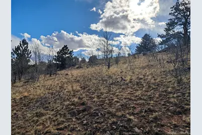 908 Raven Way, Como, CO 80432 - Photo 28