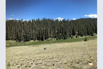 1135 Swiggler Road, Jefferson, CO 80456 - Photo 14