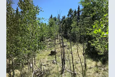 1135 Swiggler Road, Jefferson, CO 80456 - Photo 20