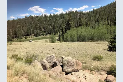 1135 Swiggler Road, Jefferson, CO 80456 - Photo 4