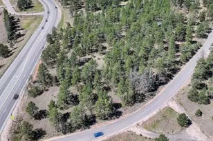 13019 S Parker Ave, Pine, CO 80470 - Photo 38