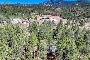 13019 S Parker Ave, Pine, CO 80470 - Photo 2