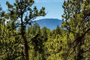 25997 Mountain View Rd, Golden, CO 80401 - Photo 2