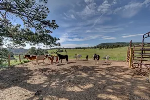 25997 Mountain View Rd, Golden, CO 80401 - Photo 48