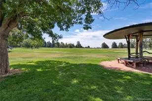 1201 N Williams St, Denver, CO 80218 - Photo 38