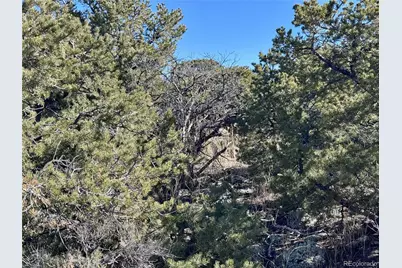 Lot 2434 Simone Road, Fort Garland, CO 81133 - Photo 14