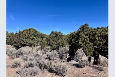 Lot 2434 Simone Road, Fort Garland, CO 81133 - Photo 6