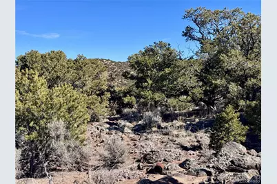 Lot 2434 Simone Road, Fort Garland, CO 81133 - Photo 12