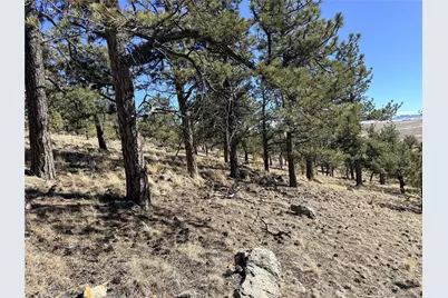 3464 Elkhorn Road, Hartsel, CO 80449 - Photo 34