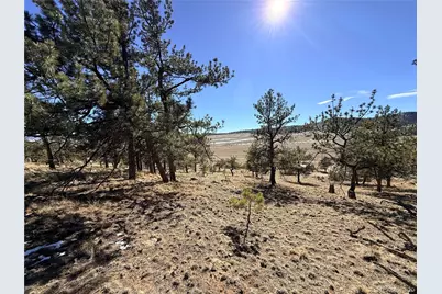 3464 Elkhorn Road, Hartsel, CO 80449 - Photo 32