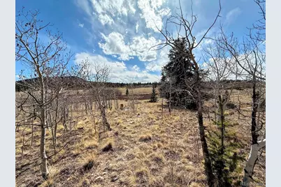 1238 Overland Circle, Jefferson, CO 80456 - Photo 26