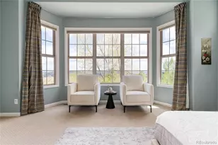6250 Shavano Peak Way, Castle Rock, CO 80108 - Photo 20