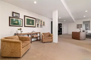 6250 Shavano Peak Way, Castle Rock, CO 80108 - Photo 24