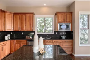6250 Shavano Peak Way, Castle Rock, CO 80108 - Photo 12
