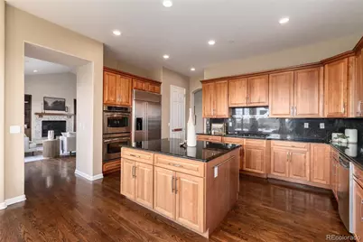6250 Shavano Peak Way, Castle Rock, CO 80108 - Photo 14
