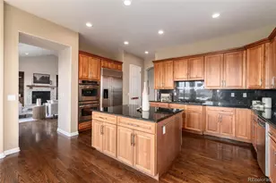 6250 Shavano Peak Way, Castle Rock, CO 80108 - Photo 14