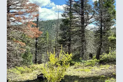 Tbd L 27 Copper Mountain Road, Cotopaxi, CO 18223 - Photo 8