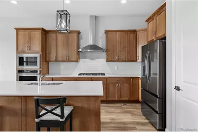 289 Leafy Aster Lane, Castle Rock, CO 80104 - Photo 8