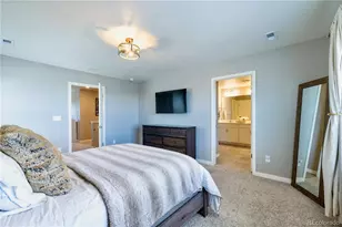 17341 Red Cosmos Pt, Parker, CO 80134 - Photo 14